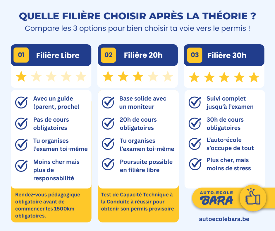 Permis de conduire : quelles options après avoir réussi la théorie ?